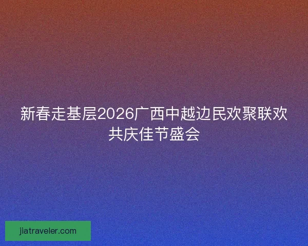 新春走基层2026广西中越边民欢聚联欢共庆佳节盛会