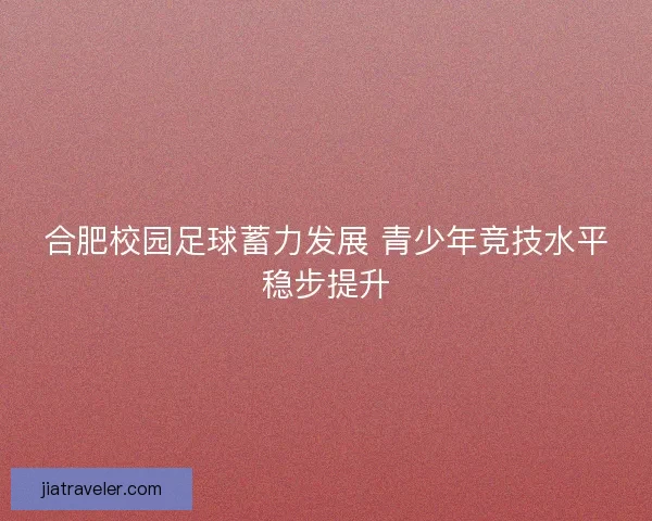 合肥校园足球蓄力发展 青少年竞技水平稳步提升 合肥校园足球蓄力发展 青少年竞技水平稳步提升